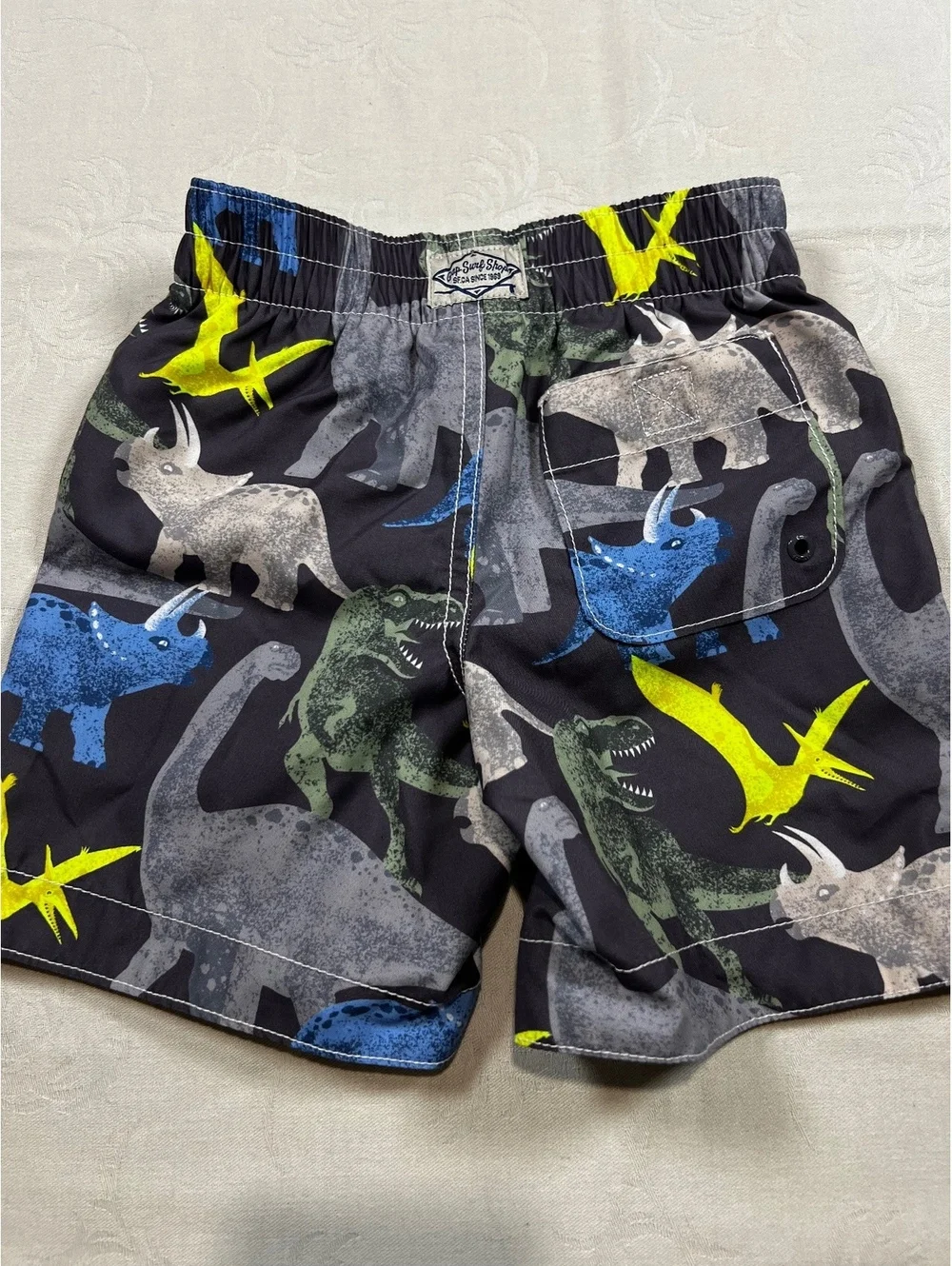 Gap Kids Dinosaur Print Swim Shorts and Swim Shirt Boys Size 3T